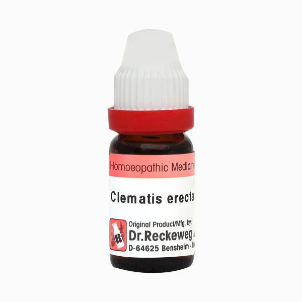 Dr. Reckeweg Clematis Erecta CM Liquid 11 ml - Dilutions