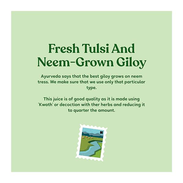 Kapiva Wild Tulsi Giloy Juice 1 ltr - Giloy