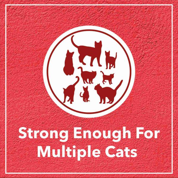 Drools Clumping Lavender Fragrance Cat Litter (For multiple cats) 5000 gm - Pet accessories