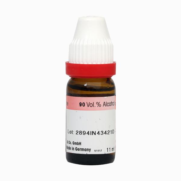 Dr. Reckeweg Cina 30 Liquid 11 ml - Dilutions