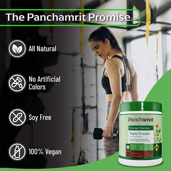 Panchamrit Plant Protein (Pea & Brown Rice Protein) - Delicious Chocolate 1 kg - Protein Drink
