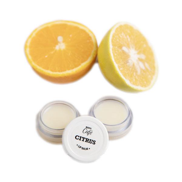 Body Cafe Citrus Lip Balm 10 gm - Lip Balms