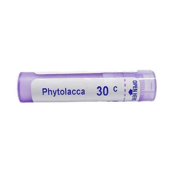 Boiron Phytolacca 30C Multi Dose PELLETS 4 GM - Speciality Medicine