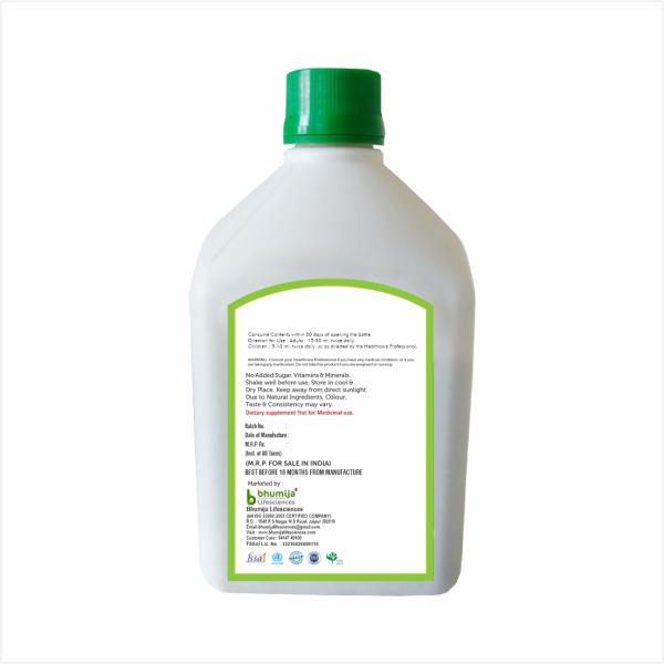 Bhumija Lifesciences Ginger Juice 1 litre - Ayurvedic Juices