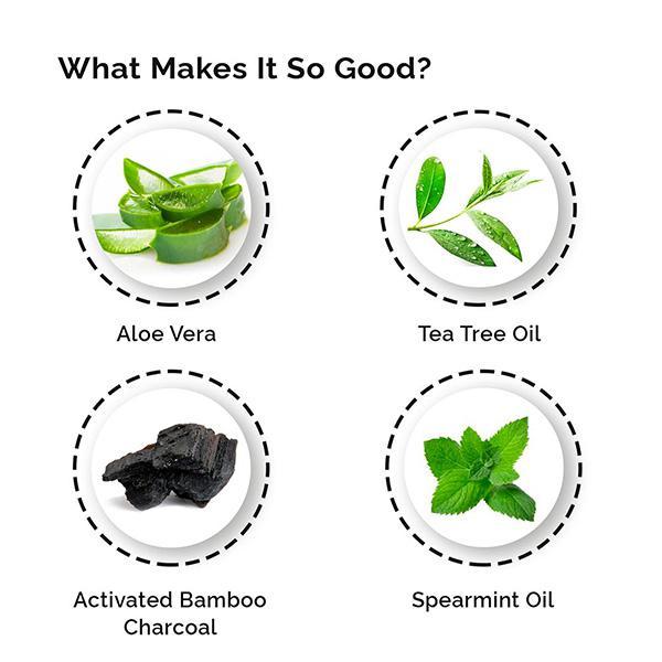 Greenberry Organics Body Wash Gel - Activated Charcoal, Spearmint & Tea Tree Oil 200 ml - Shower Gels & Body Wash