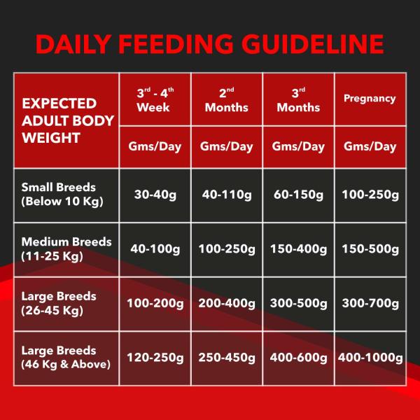 Drools Focus Starter Super Premium Dog Food 4000 gm - Petfood