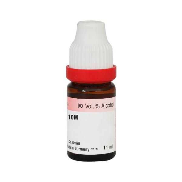 Adel Caulophyllum 10M Liquid 10 ml - Dilutions