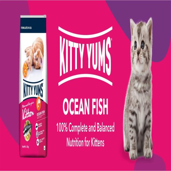 Kitty Yums Kitten(1-12 Months) Dry Cat Food, Ocean Fish 1200 gm - Petfood