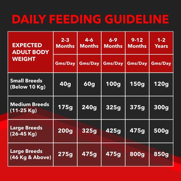 Drools Focus Puppy Super Premium Dog Food 1200 gm - Petfood