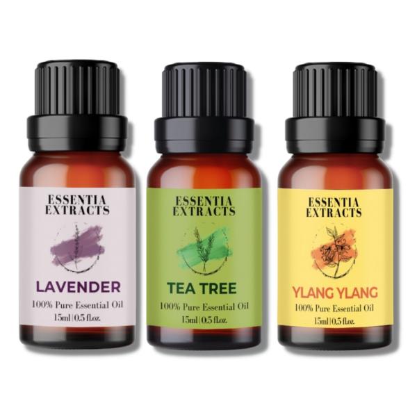 Netmeds | Essentia Extracts Pure Essential Oil Combo (Lavender 15 ml + Tea Tree 15 ml + Ylang Ylang 15 ml) 1 ml