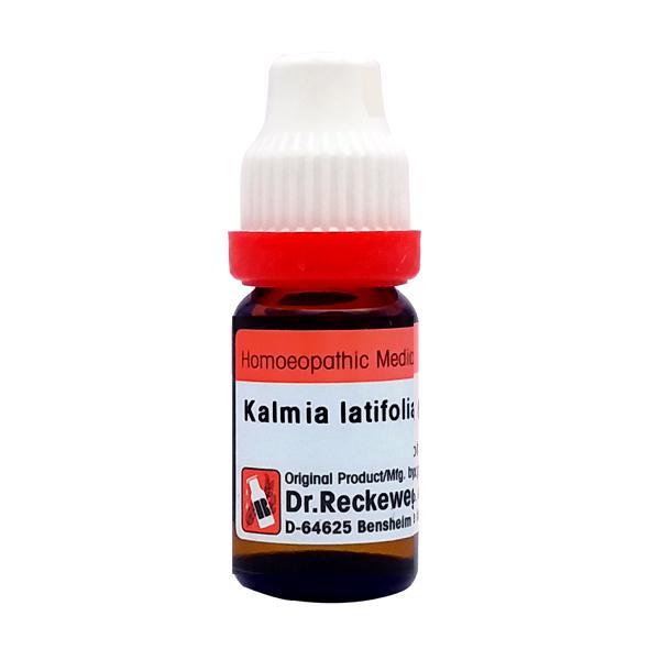 Dr. Reckeweg Kalmia Latifolia 6 Liquid 11 ml - Dilutions
