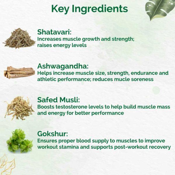 Dr. Vaidya's Herbobuild Capsule (Pack of 2 x 30's) - Speciality Medicines