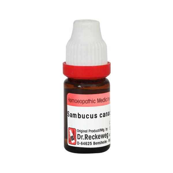 Dr. Reckeweg Sambucus Canadensis 30 Liquid 11 ml - Dilutions