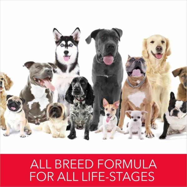 Drools Absolute Calcium Bone Pouch 190 gm - Petfood
