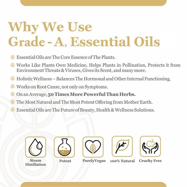 Core & Pure Focus Oil 12 ml - Essential Oils