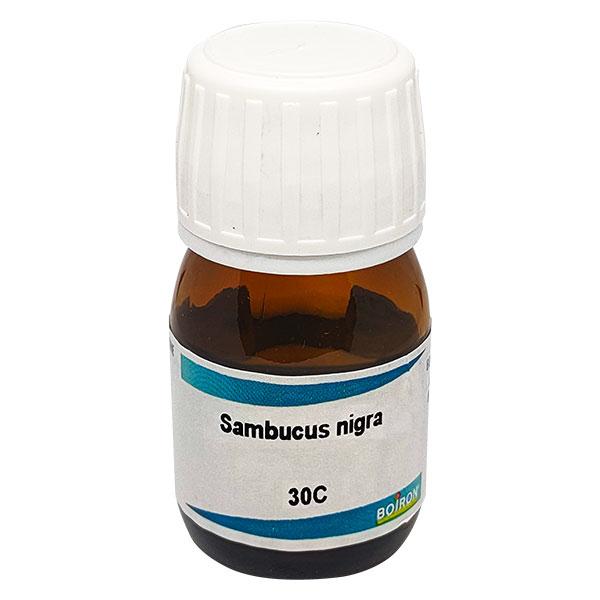 Boiron Sambucus Nigra 30C Liquid 20 ml - Dilutions