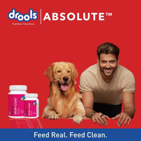 Drools Absolute Skin + Coat Tablet- Dog Supplement 110's - Petfood