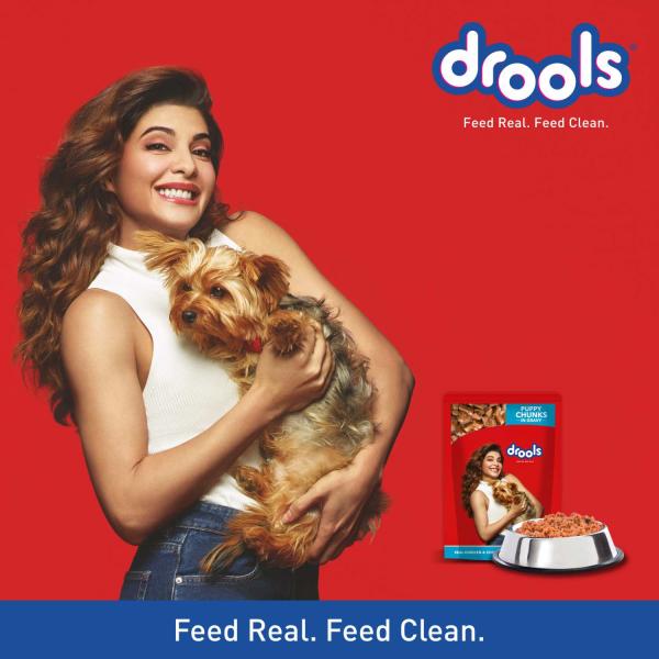 Drools Puppy Wet Dog Food, Real Chicken and Chicken Liver Chunks in Gravy, 15 Pouches (15 x 150g) 2250 gm - Petfood