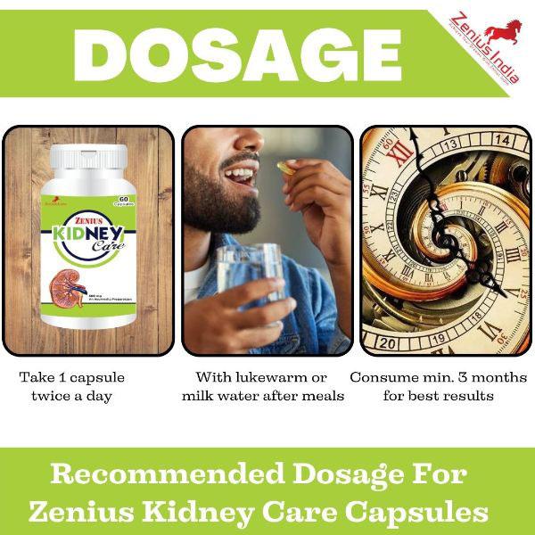 Zenius Kidney Care 500 mg Capsule 60's - Speciality Medicines