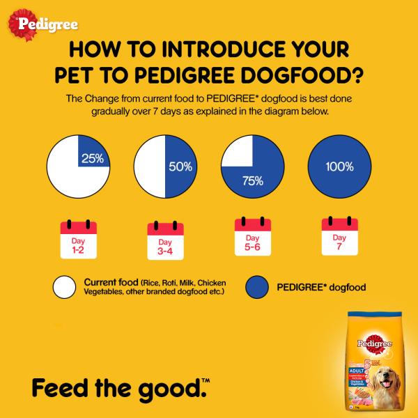Pedigree Adult Chicken & Vegetables 1 kg - Petfood