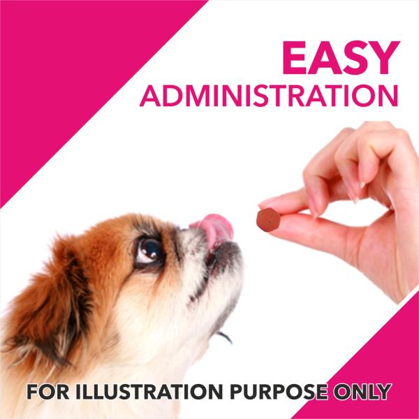 Drools Absolute Skin + Coat Tablet- Dog Supplement 110's - Petfood