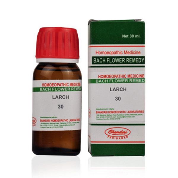 Bhandari Bach Flower Larch 30 Liquid 30 ml - Dilutions