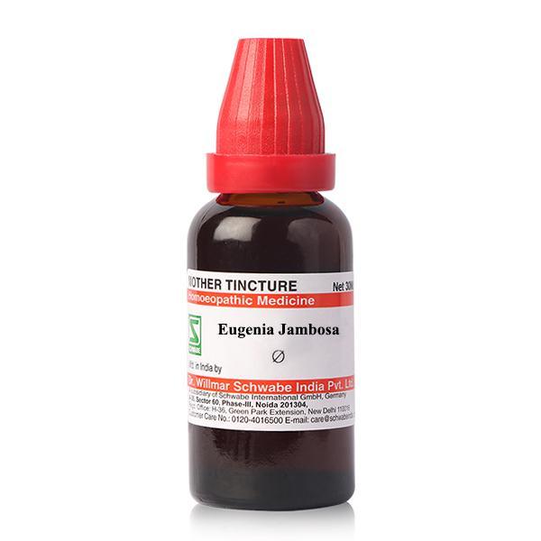 Netmeds | Dr.Willmar Schwabe Eugenia Jambosa  Liquid 30 ml