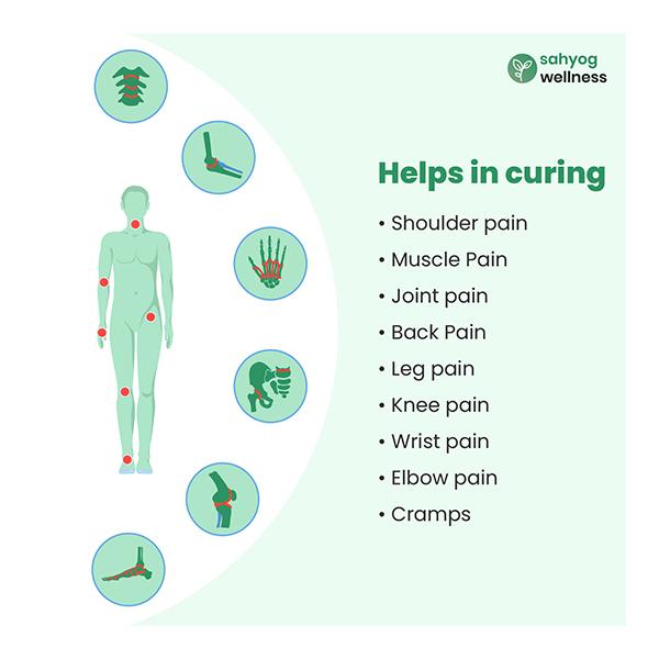 Sahyog Wellness Orthopaedic Heating Belt - Supports And Braces