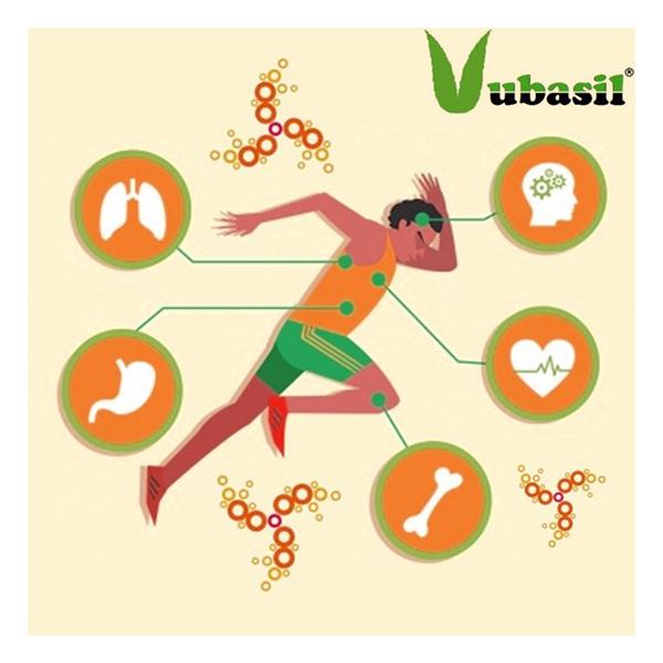 Vubasil Ashwagandha 800 mg Capsule (Pack of 5 x 60's) - Ashwagandha