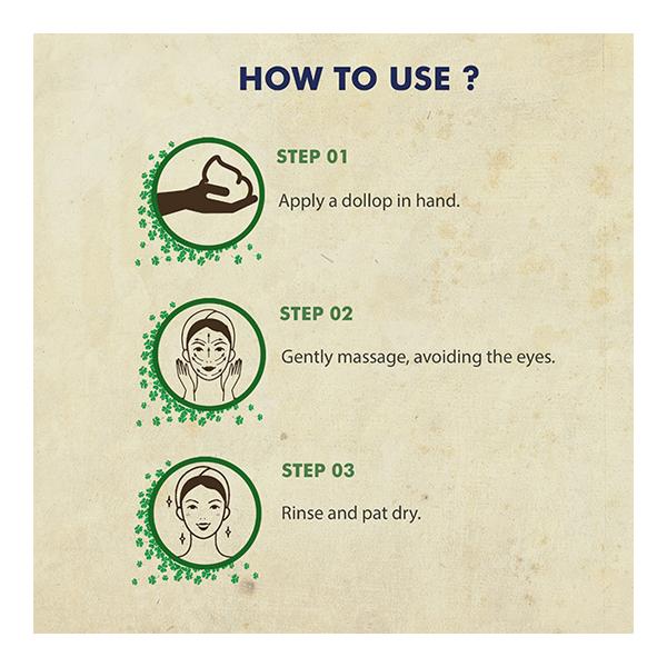 Bioayurveda Basics Purifying Miracle Face Wash 500 gm - Face Wash & Cleansers
