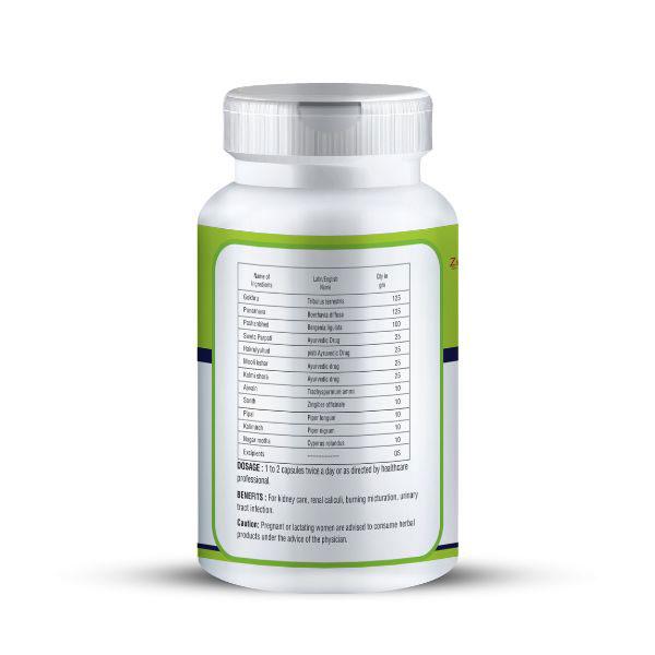 Zenius Kidney Care 500 mg Capsule 60's - Speciality Medicines