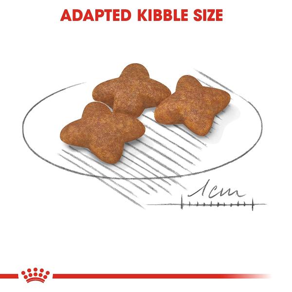 Royal Canin Mini Adult Dog Food - (All Small Dogs Upto 10 kg) 4 kg - Petfood