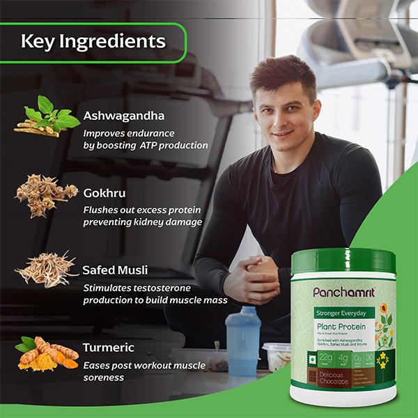 Panchamrit Plant Protein (Pea & Brown Rice Protein) - Delicious Chocolate 500 gm - Protein Drink