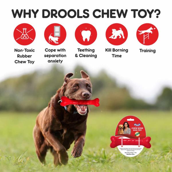 Drools Non-Toxic Rubber Dog Chew Bone Toy, Puppy/Dog Teething Toy (Medium) - 5 inches 1's - Pet accessories