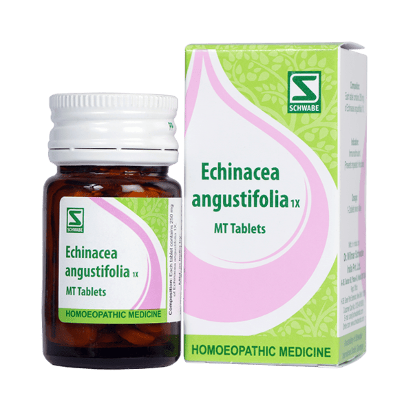 Netmeds | Dr. Willmar Schwabe Echinacea Angustifolia 1X Tablet 20 gm