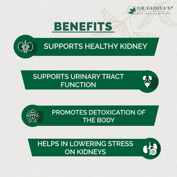 Dr. Vaidya's Punarnava Pills (Pack of 3 x 24's) - Speciality Medicines