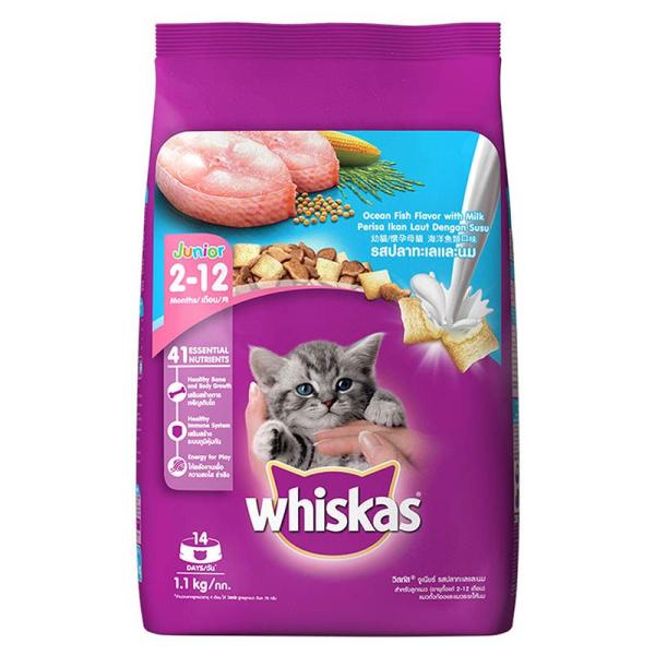 Netmeds | Whiskas Junior Ocean Fish Flavor with Milk 1100 gm