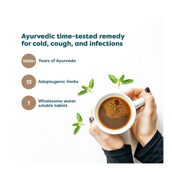 Wellbeing Nutrition Grandma's Kadha Ayurvedic Tea Effervescent Tablet 15's - Vital Health