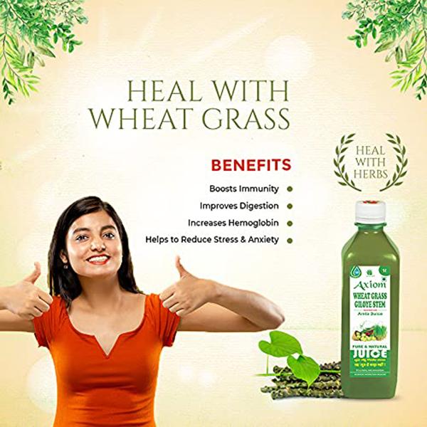 Axiom Wheat Grass Giloye Stem Juice 500 ml - Ayurvedic Juices