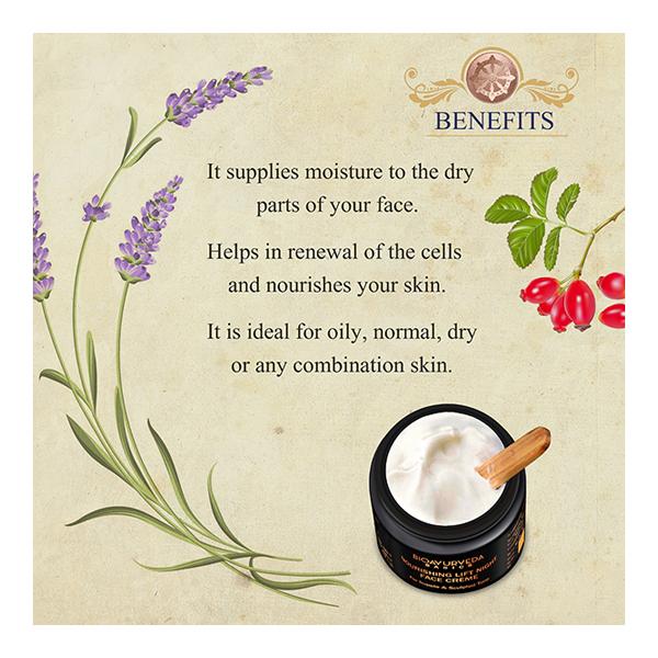 Bioayurveda Basics Nourishing Lift Night Face Creme 60 gm - Night Cream