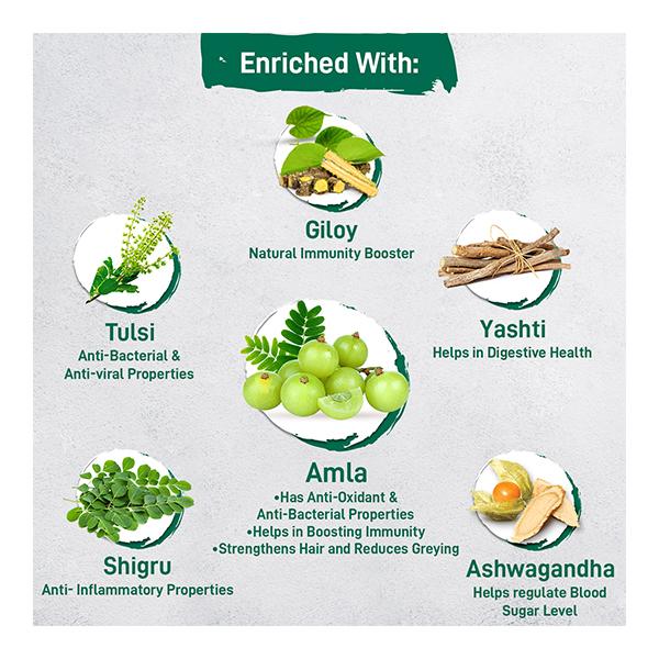 Zandu Amla + 5 Herbs Immunity Booster Health Juice 500 ml - Ayurvedic Juices