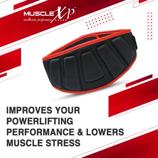 MuscleXP Gym Nylon Padded Weight Lifting Belt - Black (L) 1's - Gym Accessories
