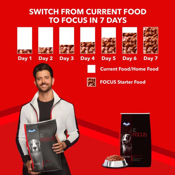 Drools Focus Starter Super Premium Dog Food 4000 gm - Petfood
