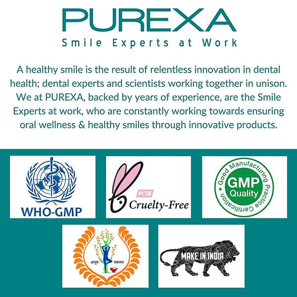 Purexa Biodegradable Bamboo Soft Toothbrush - Charcoal (Pack of 2) - Toothbrushes