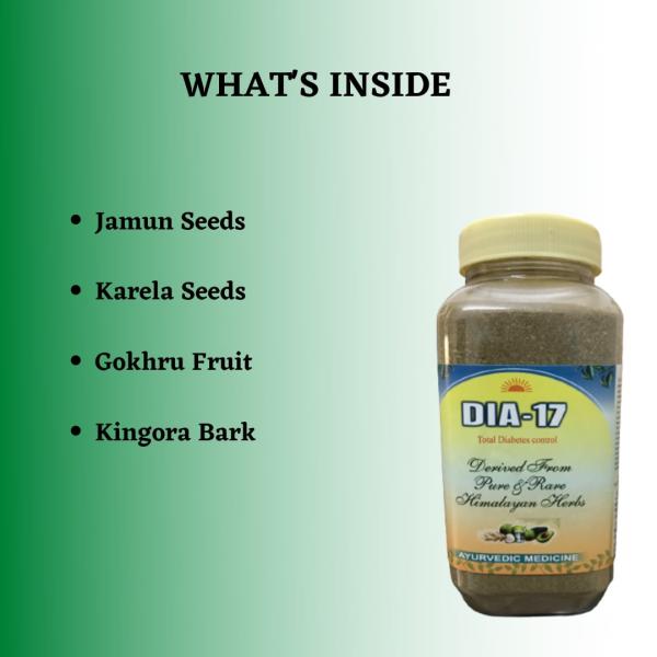 HASS Dia-17 Powder 240 gm - Speciality Medicines