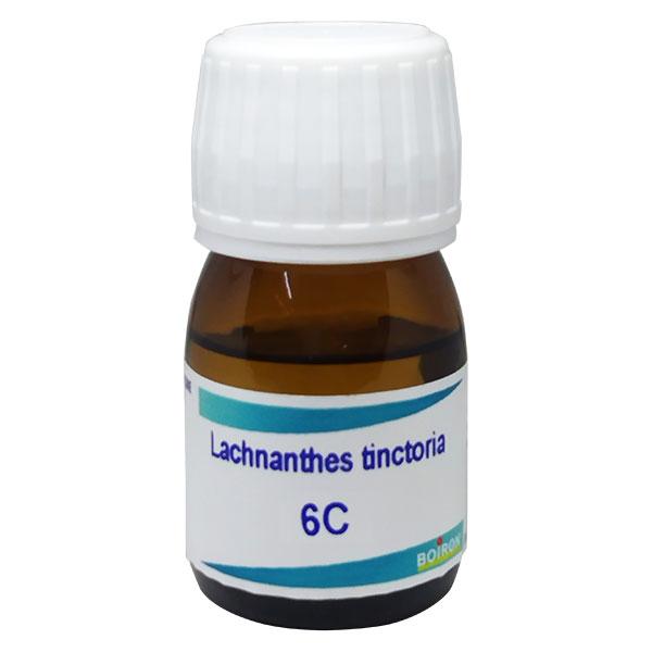 Boiron Lachnanthes Tinctoria 6C Liquid 20 ml - Dilutions