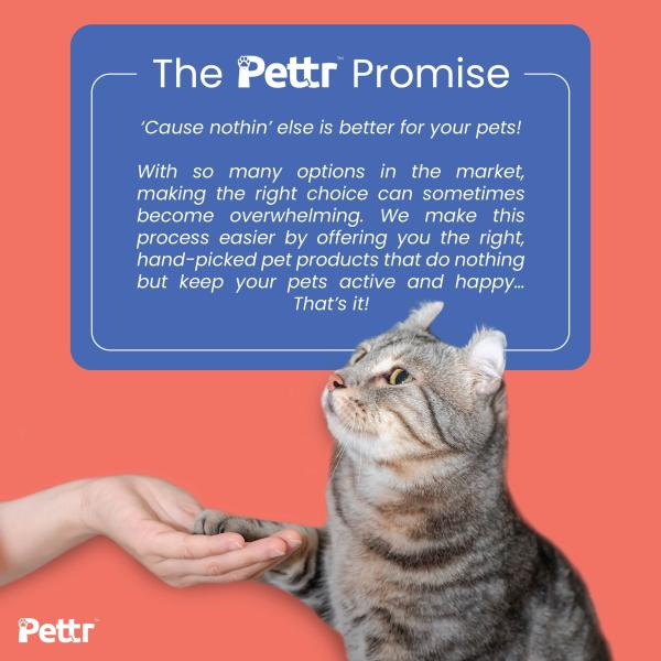 Pettr Cat Fishing Wand Toy 1's - Pet accessories
