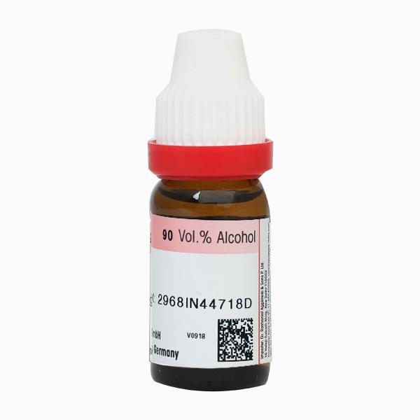 Dr. Reckeweg Coccus Cacti 1M Liquid 11 ml - Dilutions
