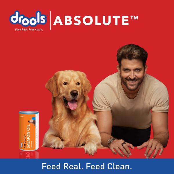 Drools Absolute Salmon Oil Syrup- Dog Supplement 300 ml - Petfood