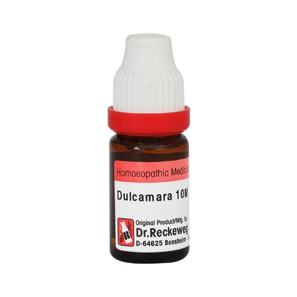 Dr. Reckeweg Dulcamara 10M Liquid 11 ml - Dilutions
